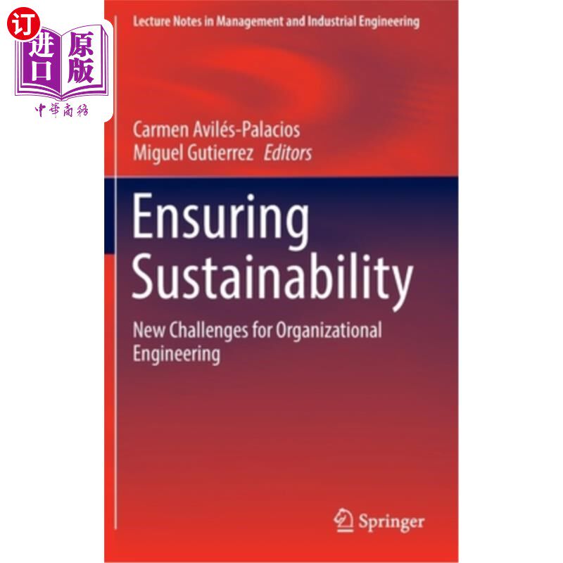 海外直订Ensuring Sustainability: New Challenges for Organizational Engineering 确保可持续性:组织工程的新挑战