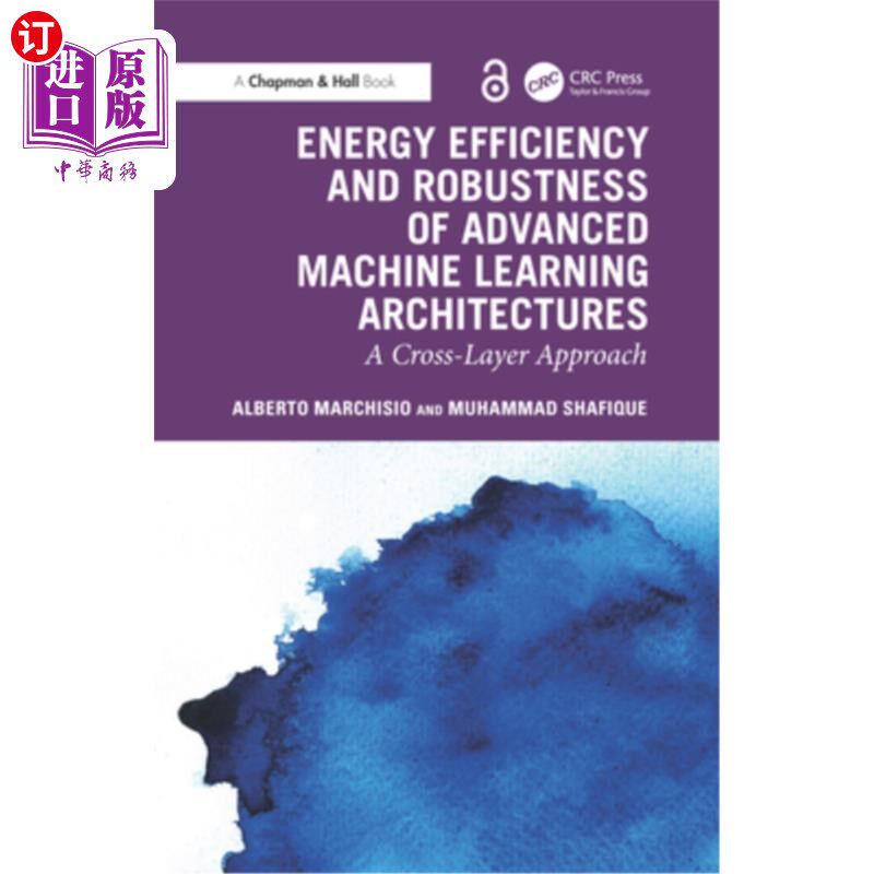 海外直订Energy Efficiency and Robustness of Advanced Machine Learning Architectures: A C 先进机器学习架构的能源效率