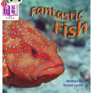 Non 虫子俱乐部语音非小说第1年第4阶段第12集神 Fish Club Phonics Set Year Fiction Fantastic 海外直订Bug Phase