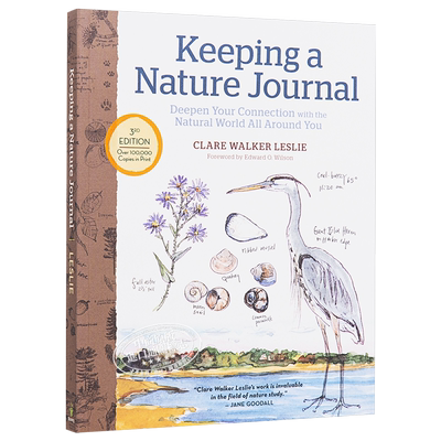 ClareWalkerLeslie作品