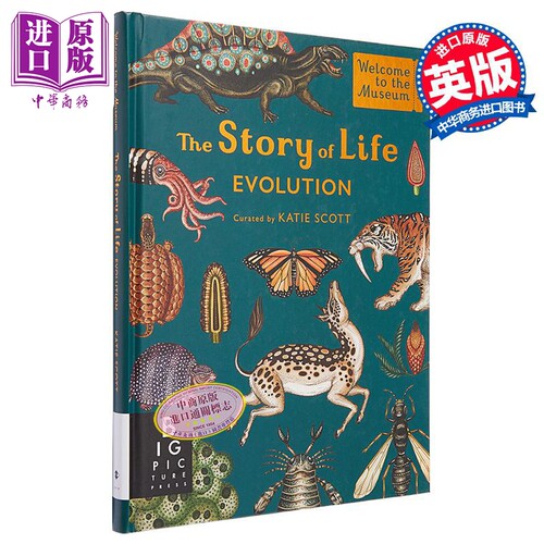 生命的故事 欢迎来到博物馆系列 The Story of Life  英文原版 Ruth Symons 自然科学 科普与科学通识【中商原版】
