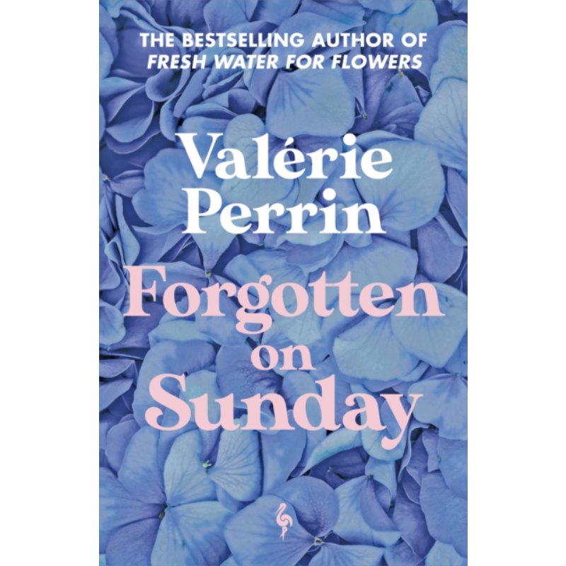 预售 在周日被遗忘 法国文学 英文原版 Forgotten on Sunday Valerie Perrin 瓦莱丽 佩兰 畅销书作家【中商原版】
