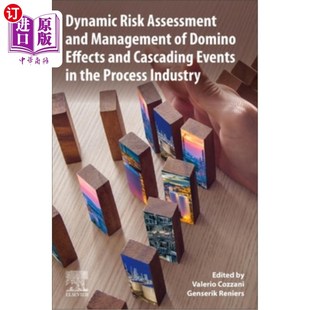 Events 过程工业中多米诺效应和级联 and Domino Effects Assessment Management 海外直订Dynamic Cascading Risk
