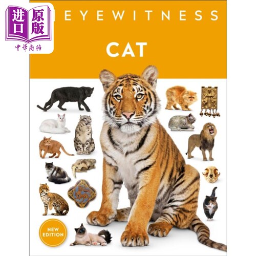eyewitness系列百科英文原版