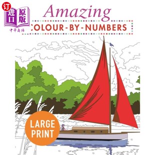 海外直订Amazing Colour-by-Numbers Large Print 惊人的数字彩色大字体