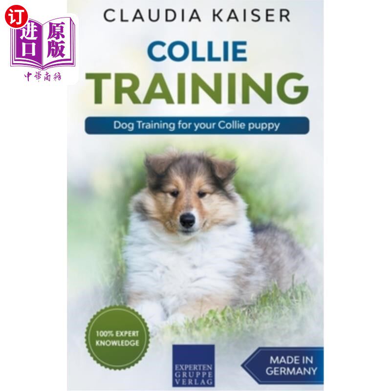 training for your collie puppy 牧羊犬训练-狗训练您的牧羊犬泄狗
