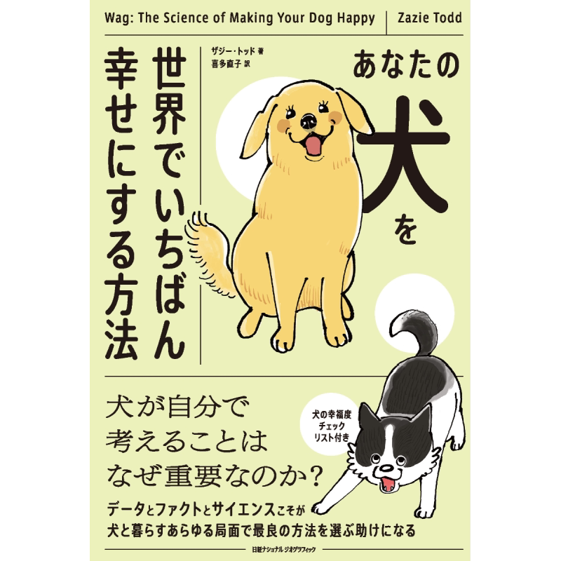 让你的宠物成为世上最幸福的狗狗