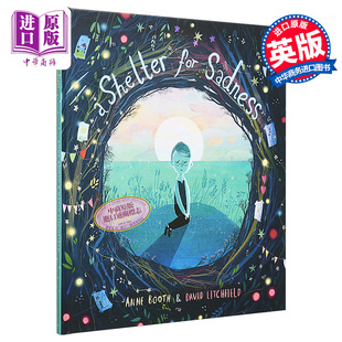现货 绘本David 原版 Shelter Litchfield for 6岁 中商原版 Sadness悲伤之地3