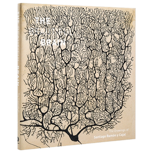 预售 诺贝尔奖 大脑之美 圣地亚哥拉蒙卡哈尔绘图集 英文原版 The Beautiful Brain The Drawings of Santiago Ramon y Cajal 中商