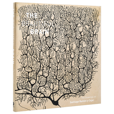 预售 诺贝尔奖 大脑之美 圣地亚哥拉蒙卡哈尔绘图集 英文原版 The Beautiful Brain The Drawings of Santiago Ramon y Cajal 中商