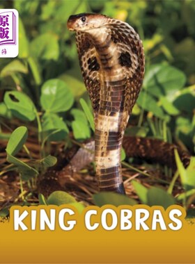 海外直订King Cobras 眼镜王蛇