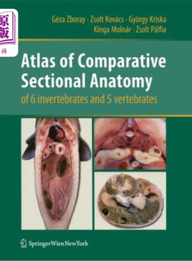 海外直订Atlas of Comparative Sectional Anatomy of 6 Invertebrates and 5 Vertebrates 6种无脊椎动物和5种脊椎动物的比