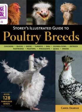 海外直订Storey's Illustrated Guide to Poultry Breeds: Chickens, Ducks, Geese, Turkeys, E Storey的家禽品