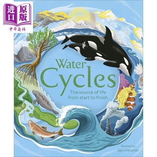 生态绘本 Water 进口图书 大自然知识科普 中商原版 水循环 7岁以上 Cycles 英文原版 百科图画书 儿童绘本