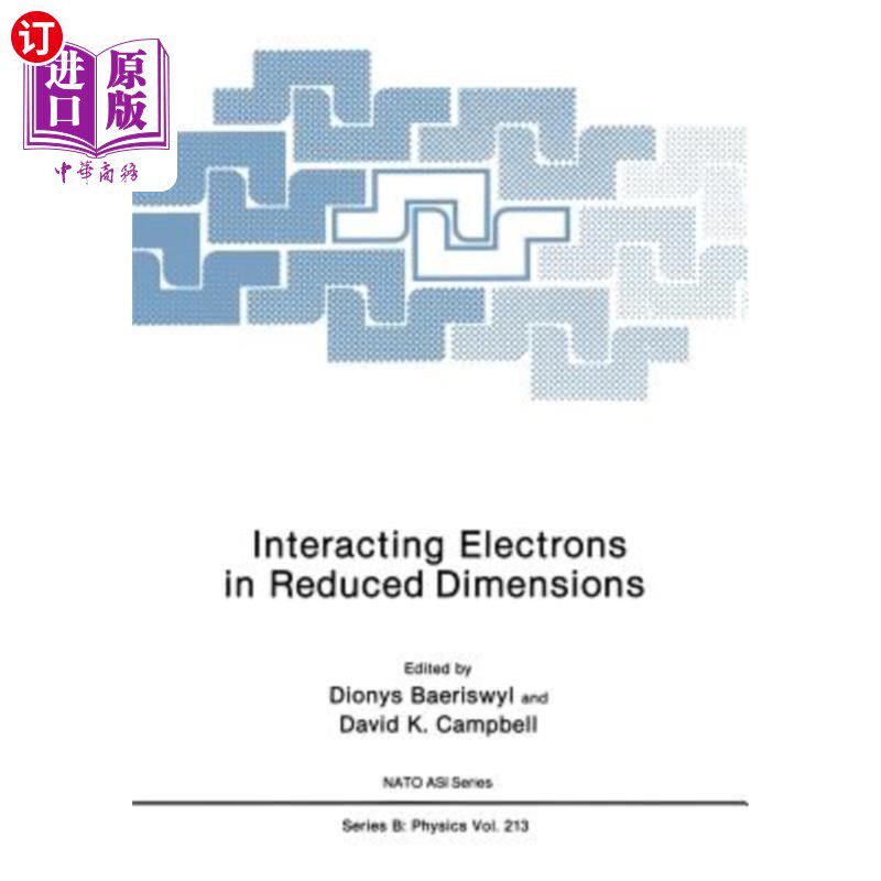 海外直订Interacting Electrons in Reduced Dimensions 缩小尺寸的相互作用电子