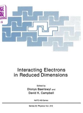 海外直订Interacting Electrons in Reduced Dimensions 缩小尺寸的相互作用电子
