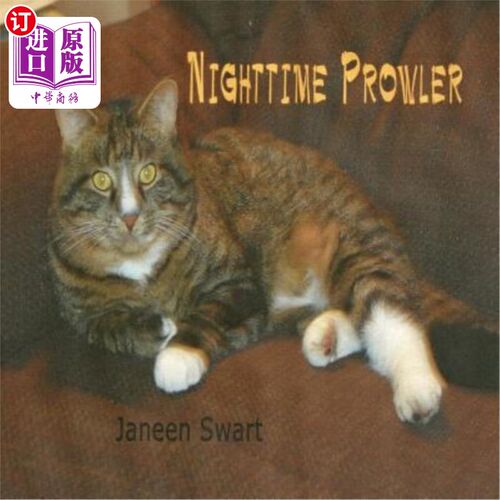 海外直订Nighttime Prowler 夜间的小偷