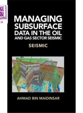 海外直订Managing Subsurface Data in the Oil and Gas Sector Seismic: Seismic 石油和天然气部门的地下数据管理