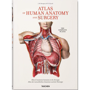 Bourgery Atlas of Human Anatomy and Surgery 进口艺术 布尔热里 人体解剖和手术图谱 英法德三语 Taschen【中商原版】