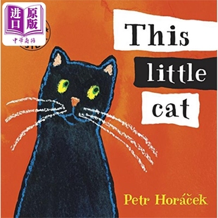 This 英文原版 中商原版 Petr Horacek Cat 儿童绘本 Little 动物故事 6岁 小猫咪 现货