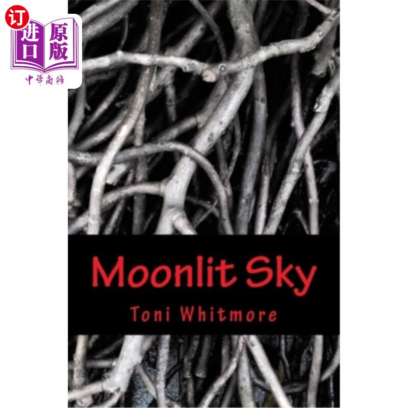 海外直订Moonlit Sky 月光下的天空