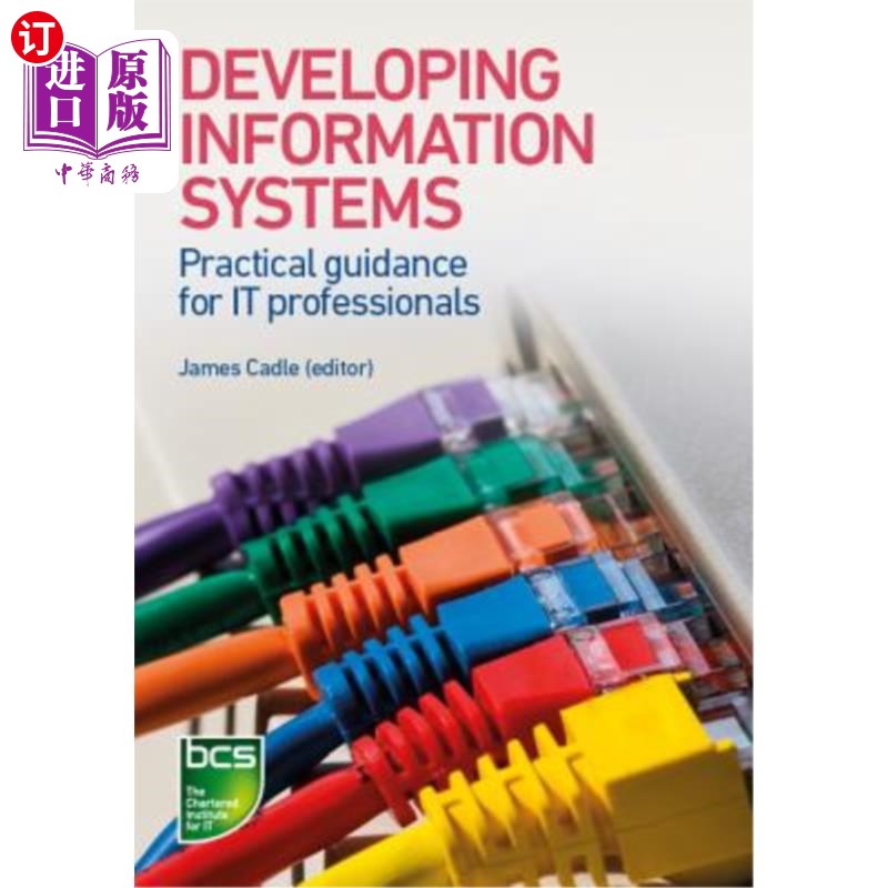 海外直订Developing Information Systems: Practical Guidance for It Professionals 开发信息系统：It专业人员的实践指导