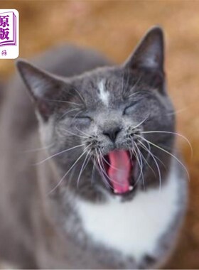 海外直订Colorado Barn Cats - Skunk and Chauncey 科罗拉多谷仓猫-臭鼬和昌西