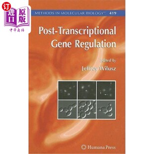 Regulation Gene 转录后基因调控 Transcriptional 海外直订Post