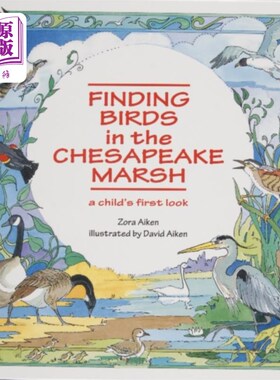 海外直订Finding Birds in the Chesapeake Marsh: A Child's... 《在切萨皮克沼泽发现鸟:孩子的第一眼》