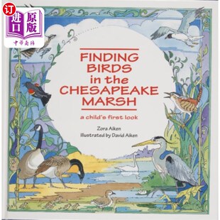 海外直订Finding Birds in the Chesapeake Marsh: A Child's... 《在切萨皮克沼泽发现鸟:孩子的第一眼》