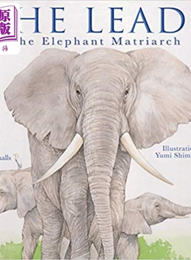 现货 She Leads The Elephant Matriarch 带领大象 英文原版儿童绘本 动物及动物故事主题  June Smalls 6到9岁【中商原版】