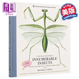 昆虫百科 Innumerable 英文原版 Engel 中商原版 Insects Michael