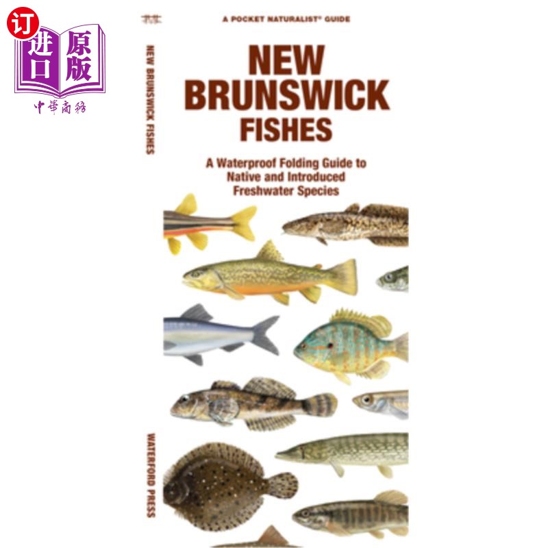 海外直订New Brunswick Fishes: A Waterproof Folding Guide to Native and Introduced Freshw 新不伦瑞克省鱼类:本地和引