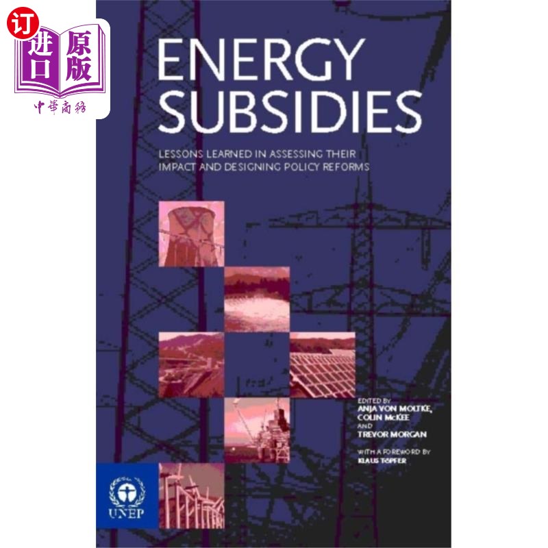 海外直订Energy Subsidies 能源补贴