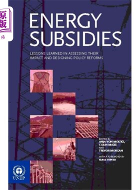 海外直订Energy Subsidies 能源补贴