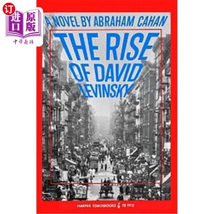 大卫·莱文斯基 海外直订Rise Levinsky David 崛起