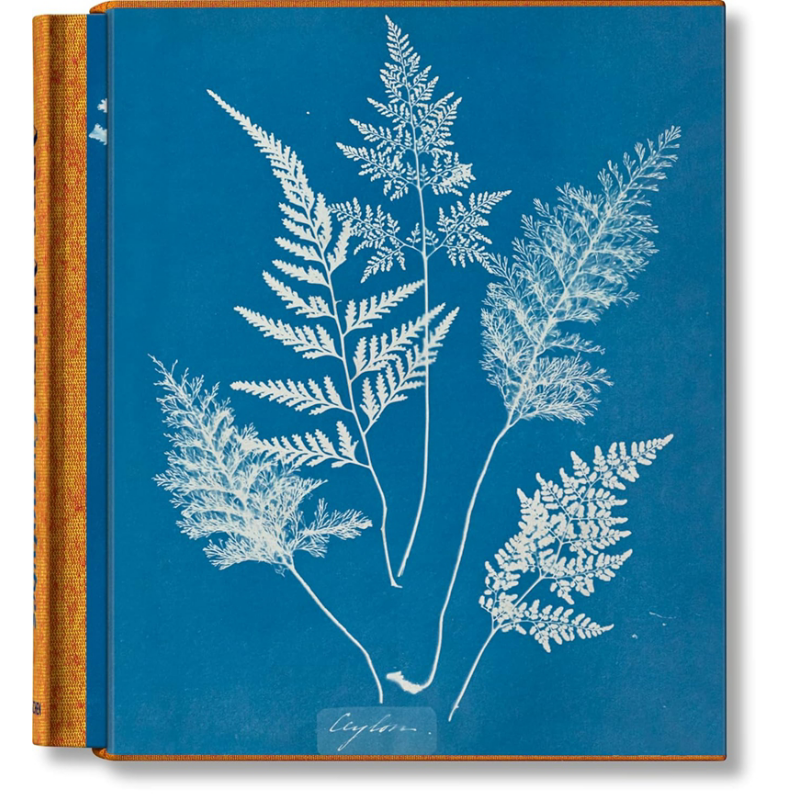 Anna Atkins. Cyanotypes 进口艺术 安娜·阿特金斯：蓝晒法 Taschen【中商原版】