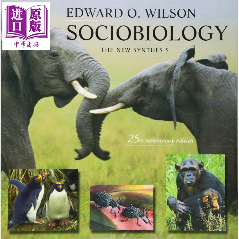 预售 Sociobiology 英文原版 艾德华·威尔森 社会生物学 Wilson Edward O【中商原版】