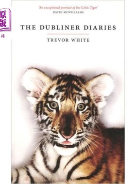 海外直订Dubliner Diaries 北日记