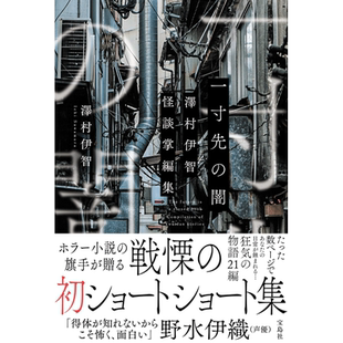 一寸前的黑暗 泽村伊智恐怖小说短篇集 日文原版 澤村伊智ホラー.ショートショート集【中商原版】