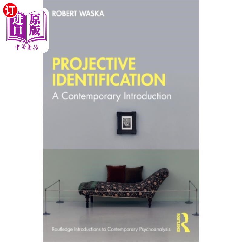 海外直订Projective Identification 射影识别