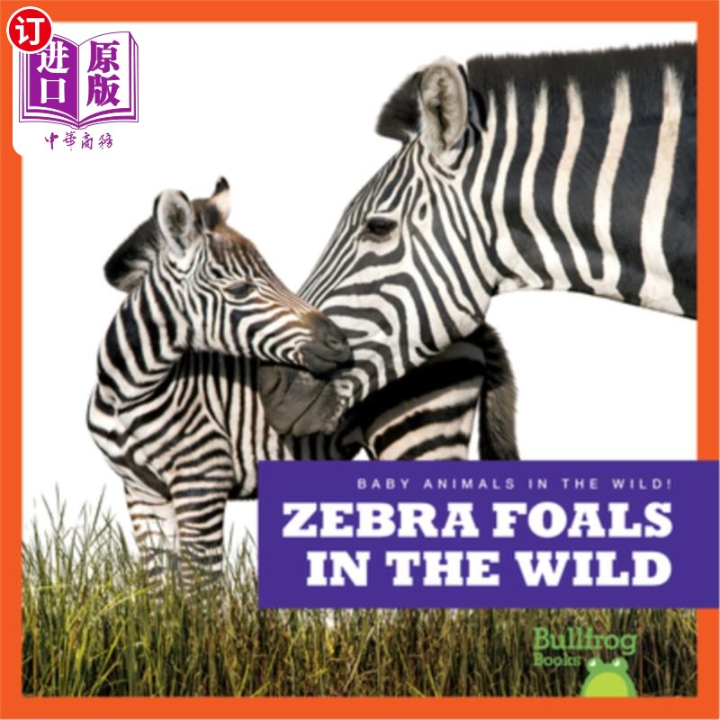 海外直订Zebra Foals in the Wild野生斑马马驹