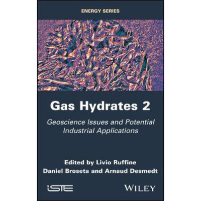 现货 天然气水合物 第2版 Gas Hydrates 2 英文原版 Livio Ruffine 中商原版