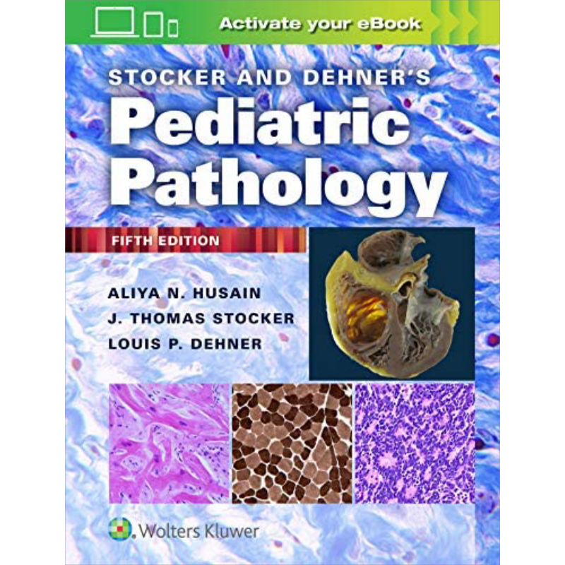 Stocker Dehner 小儿病理学 第5版 英文原版 Stocker and Dehners Pediatric Pathology Aliya N Husain【中商原版】