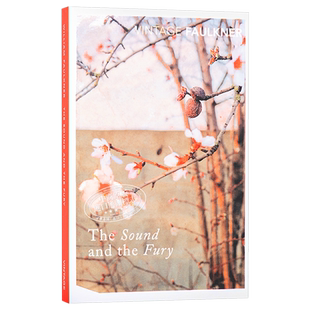 喧哗与骚动 英文原版【中商原版】The Sound and the Fury 豆瓣阅读 福克纳 经典小说 美国文学 意识流 诺贝尔 William Faulk