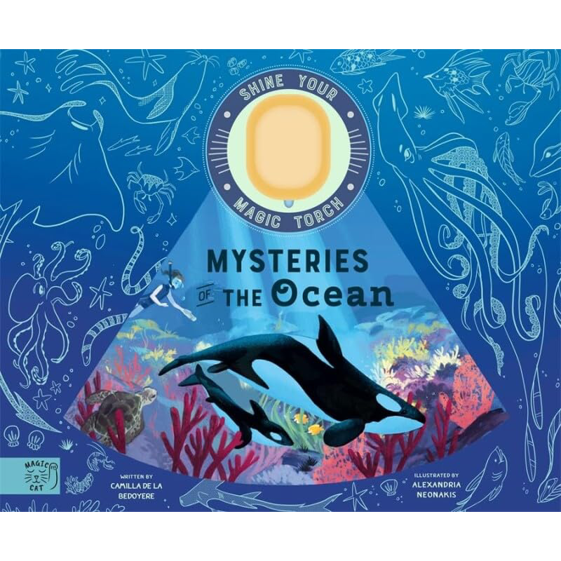 Shine Your Magic Torch Mysteries of the Ocean魔法手电 海洋奥秘 英文原版进口图书 儿童动物绘本 互动图画书【中商原版】