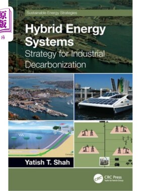 海外直订Hybrid Energy Systems: Strategy for Industrial Decarbonization 混合能源系统:工业脱碳战略