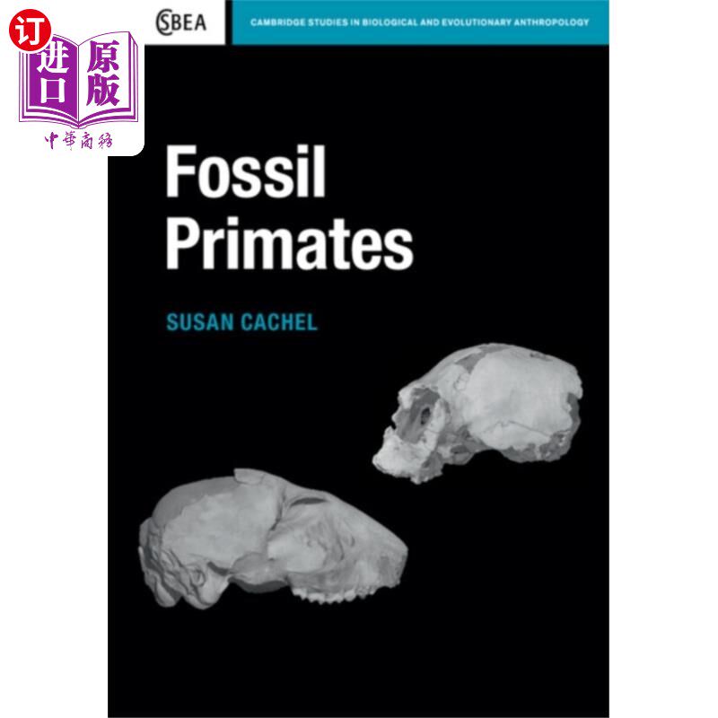 海外直订Fossil Primates 化石灵长类动物
