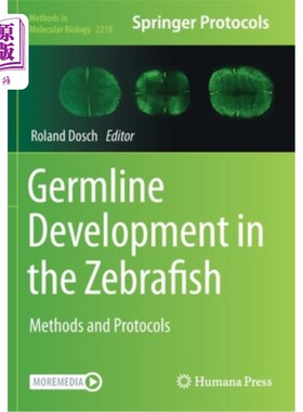 海外直订Germline Development in the Zebrafish: Methods and Protocols 斑马鱼种系发育:方法和协议