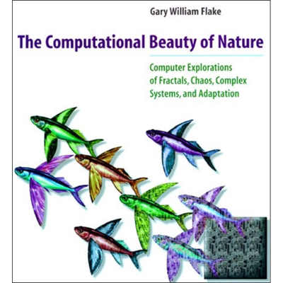 现货 自然的计算美 The Computational Beauty of Nature 英文原版 Gary William Flake 豆瓣高分阅读 计算机科学【中商原版】